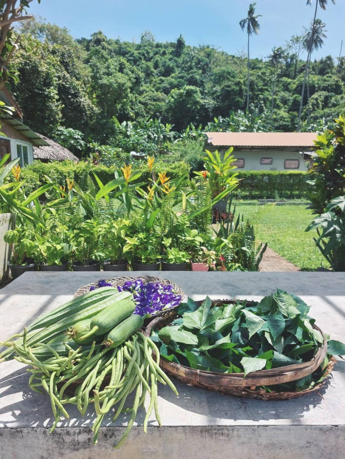 Samui Camping Farm Лем-Сор Экстерьер фото